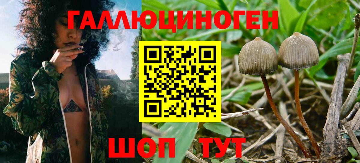 Всеволожск  Галлюциногенные грибы MAGIC MUSHROOMS  Галлюциногенные грибы мухоморы  Вход с VPN 